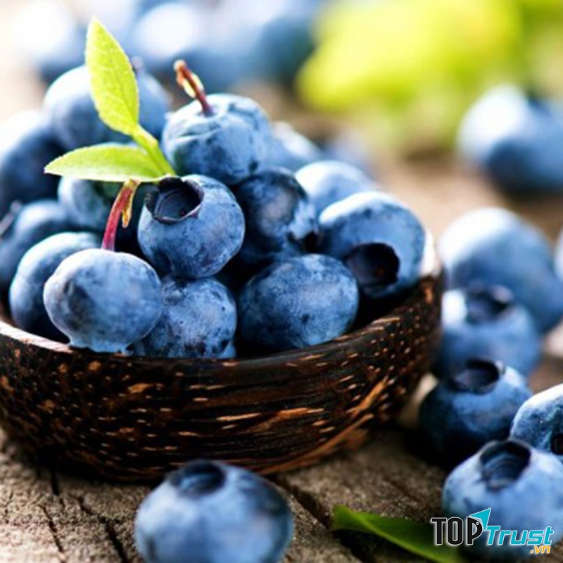 Quả Việt quất tốt cho mẹ bầu và thai nhi