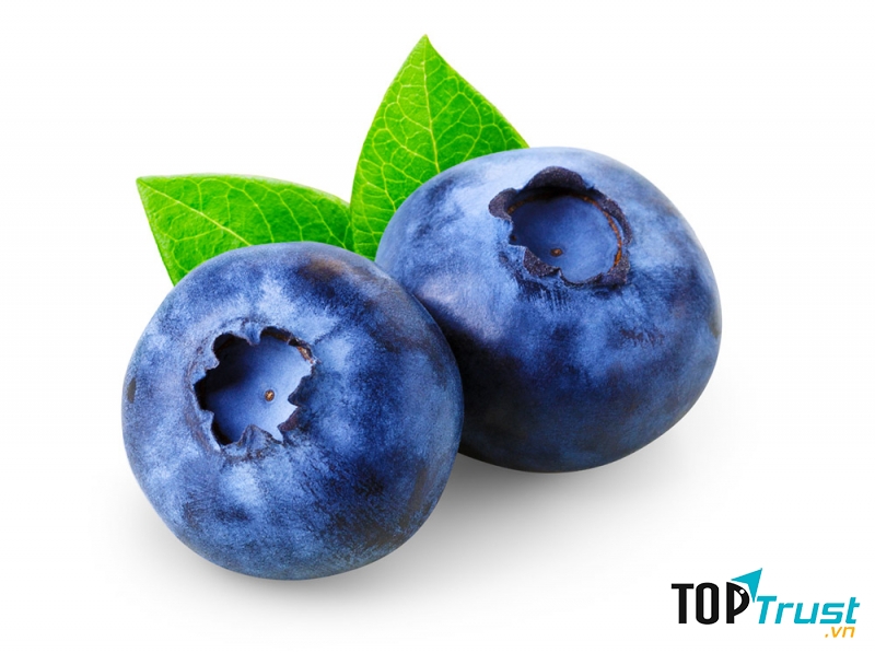 Quả việt quất được ví như túi dinh dưỡng mà thiên nhiên đem lại cho con người