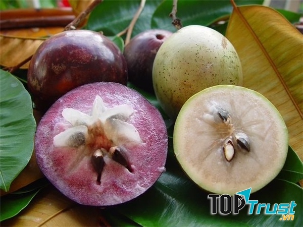 Vỏ quả vú sữa mỏng, màu xanh ngà, khi chín căng bóng và có màu phớt hồng.