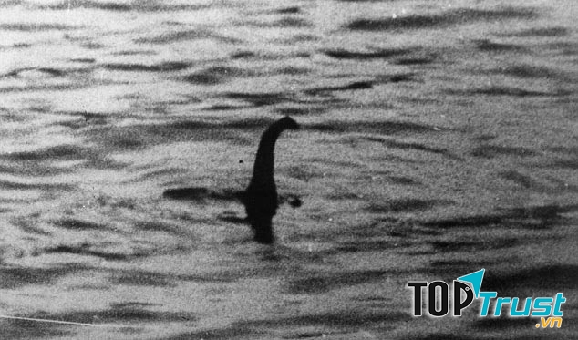 Bức ảnh cho thấy quái vật hồ Loch Ness