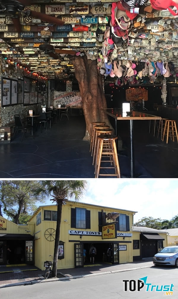 Cái cây bên cạnh quán bar và quán khi nhìn từ ngoài