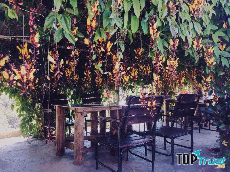 Quán Cafe Chồn Trại Hầm