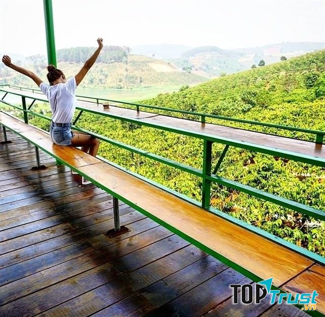 Nhìn ngắm cảnh vật trên cao từ quán caffe