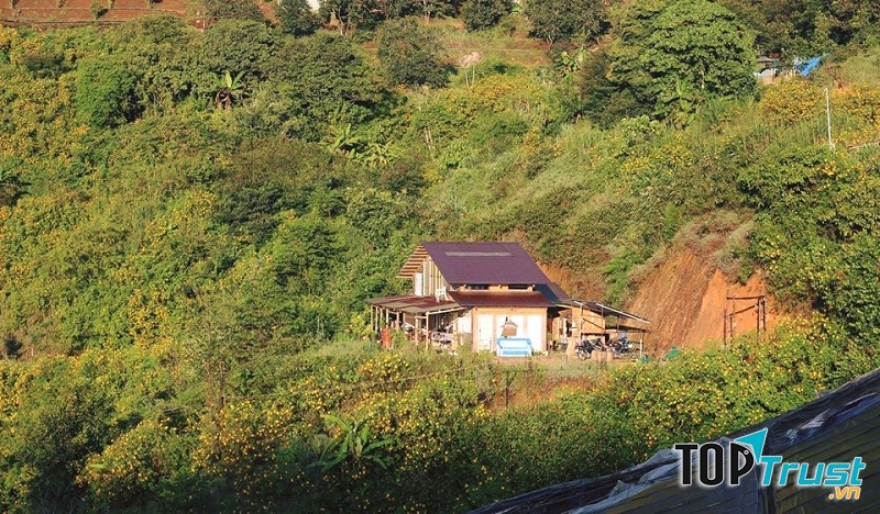 Quán của Thời Thanh Xuân