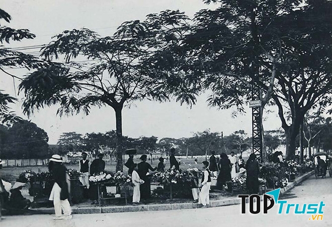 Chợ hoa Hải Phòng trước khi có quán hoa