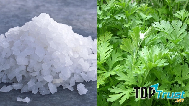 Giảm mỡ bụng bằng muối và ngải cứu