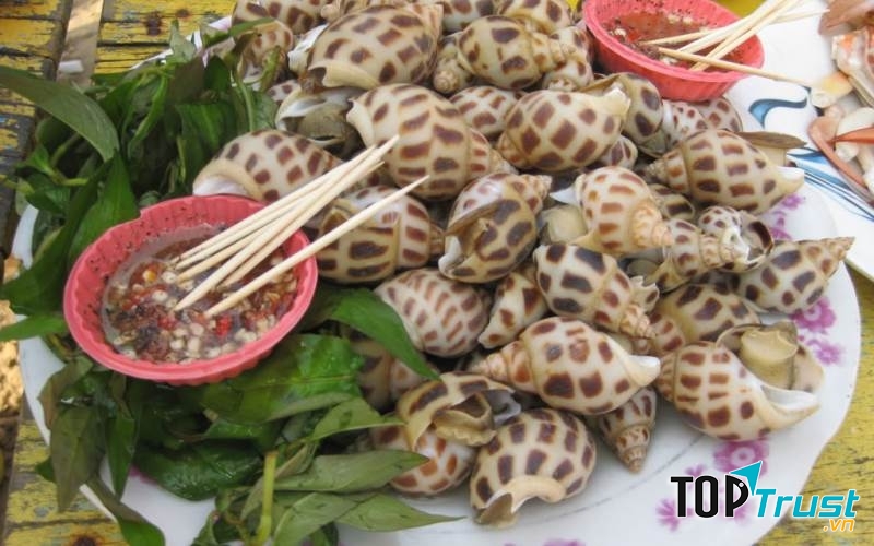 Quán Ốc Chòi là một trong những địa chỉ ăn ngon về ốc và hải sản