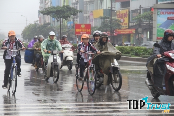 Quan sát kĩ và di chuyển chậm