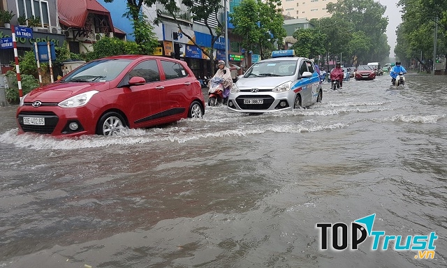 Quan sát kĩ và di chuyển chậm