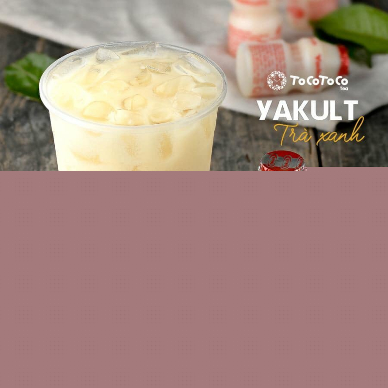 Yakult trà xanh Toco