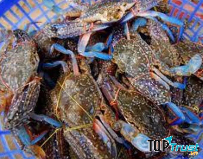 Quán Tỷ Cua