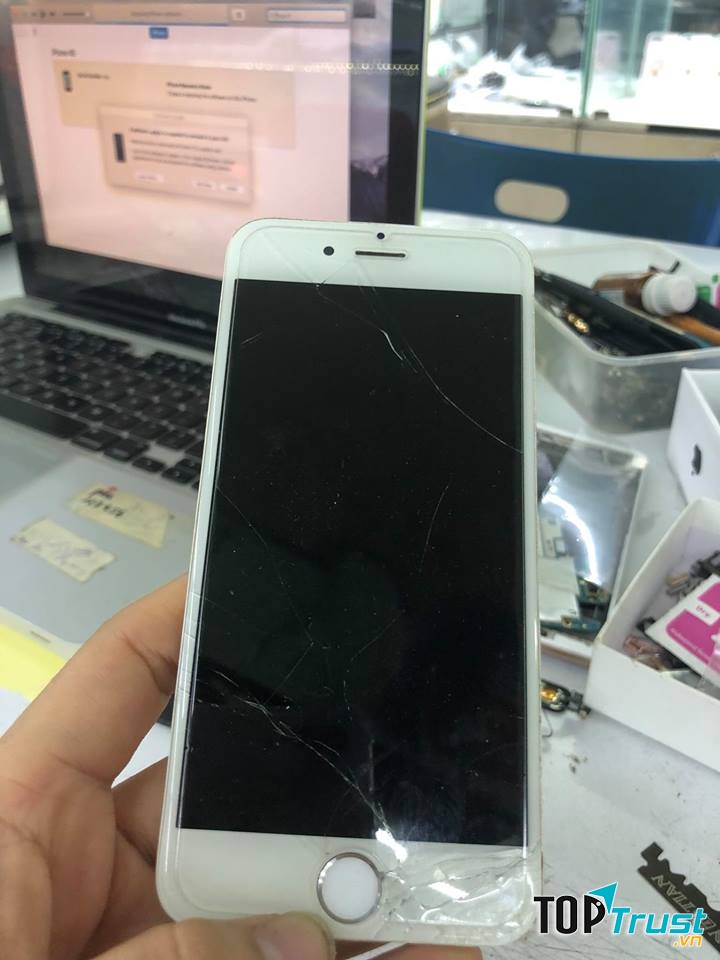 Quang Apple