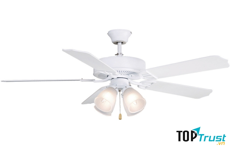 Quạt trần Fanimation