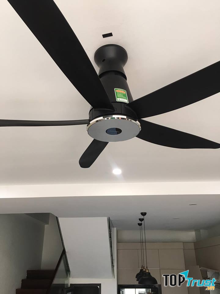 Quạt trần Panasonic 5 cánh F-60XDN