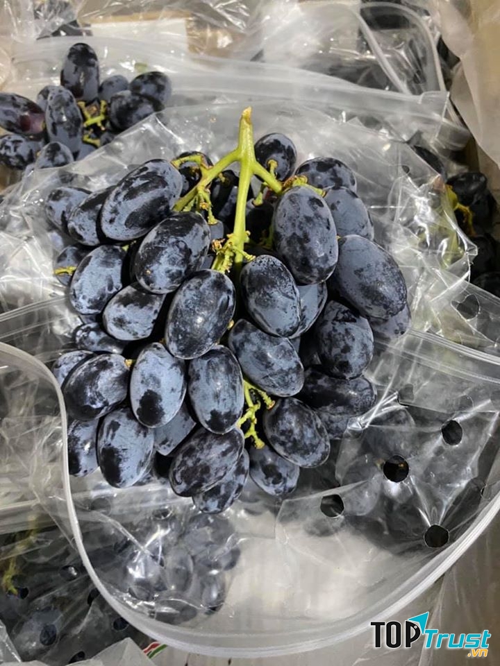 Quầy Trái Cây Nhà Kelvin