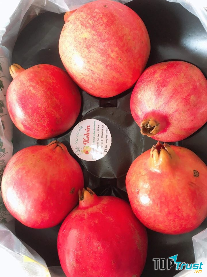 Quầy Trái Cây Nhà Kelvin