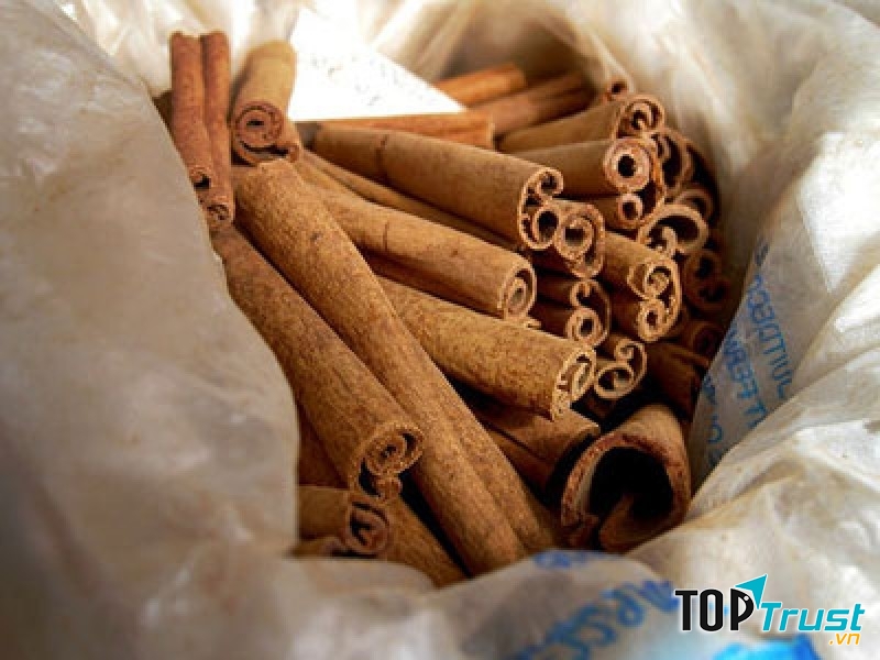 Quế Trà Bồng đặc sản riêng và là niềm tự hào của người dân Trà Bồng Quảng Ngãi