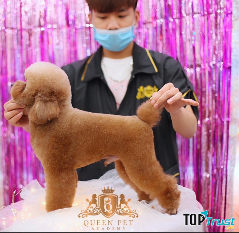 Queen Pet Shop