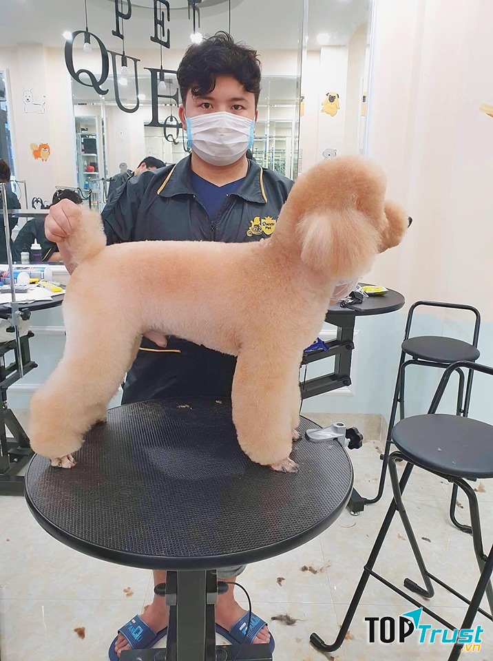 Queen Pet Shop Academy