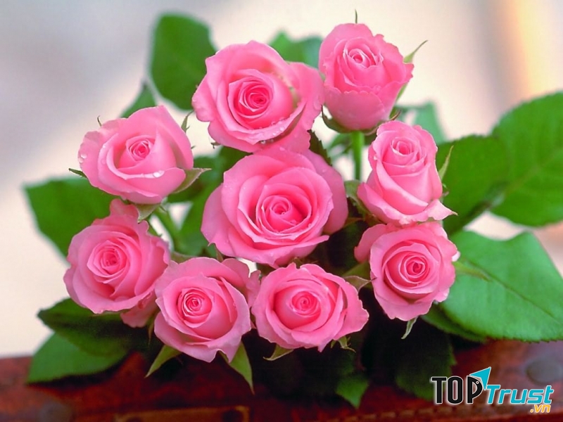 Hãy lựa chọn tổng một số lẻ như 1, 3, 5, 7, hoặc 9 bông hoa nếu bạn tặng nửa kia dưới 10 bông nhé