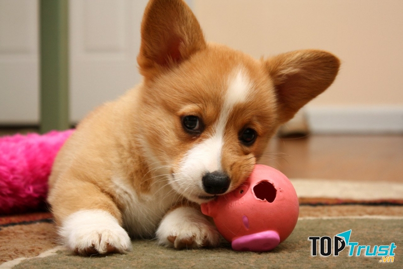 Quỹ tài chính của bản thân