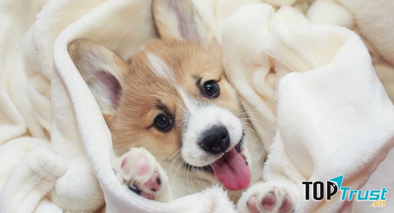 Quỹ thời gian của bạn