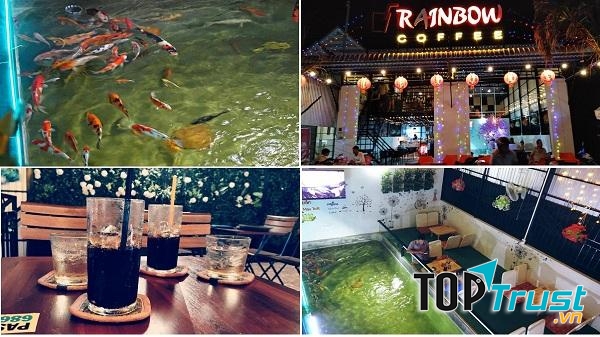 Một điểm nhấn khó quên ăn của Rainbow Coffee chính là có hồ cá đẹp mắt ngay trong khuôn viên quán