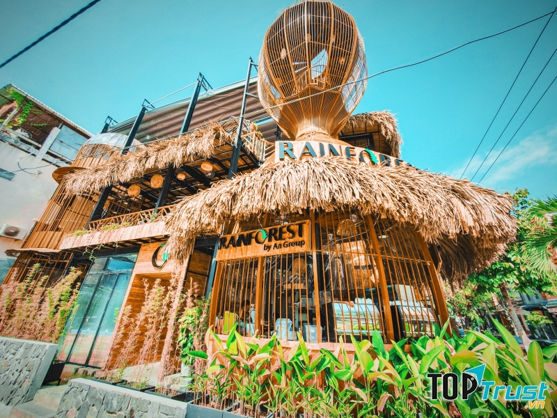 Rainforest Da Nang - Cà phê tổ chim