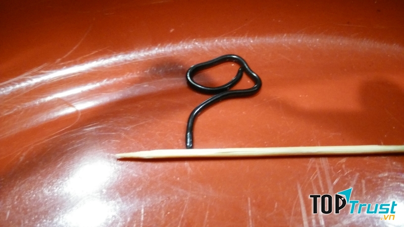 Rắn Leptotyphlops carlae