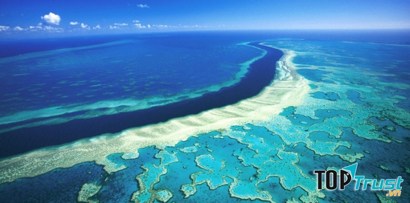 Rạn san hô Great Barrier nằm ở Úc là hệ thống đá ngầm san hô lớn nhất thế giới