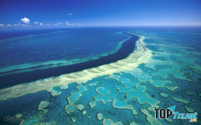 Rặng san hô Great Barrier (Úc)