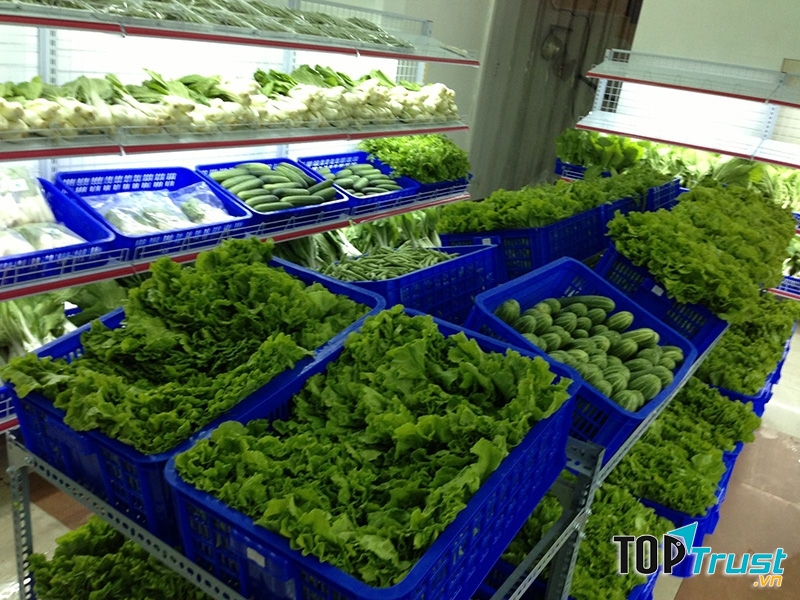 Rau an toàn xã Vân Nội