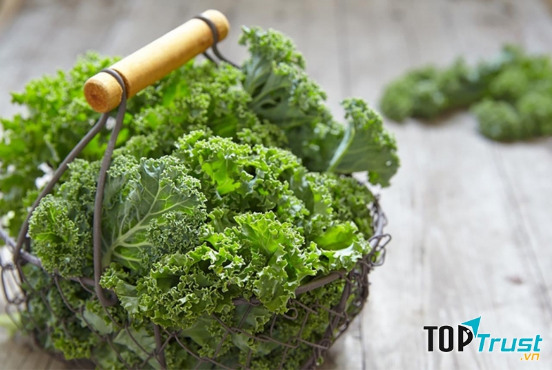 Rau bina và cải xoăn