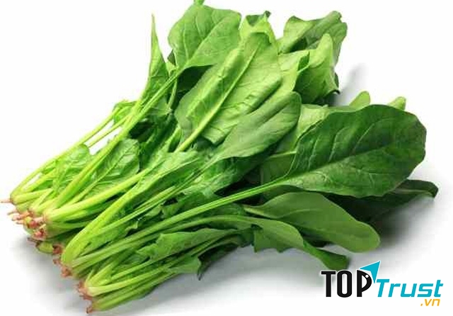 Cải bó xôi ăn ngọt dịu, mềm, dễ tiêu hóa rất phù hợp với những bệnh nhân đột quỵ giai đoạn đầu đang khó khăn về nhai nuốt.
