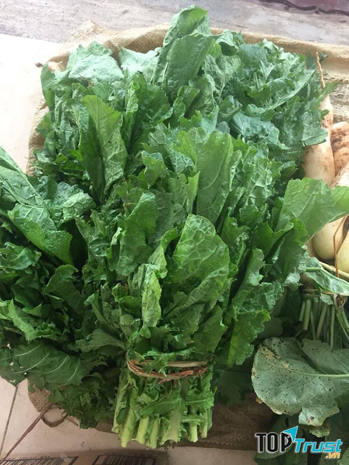 Rau cải cay