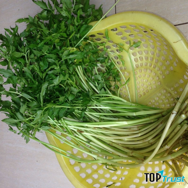 Rau cần