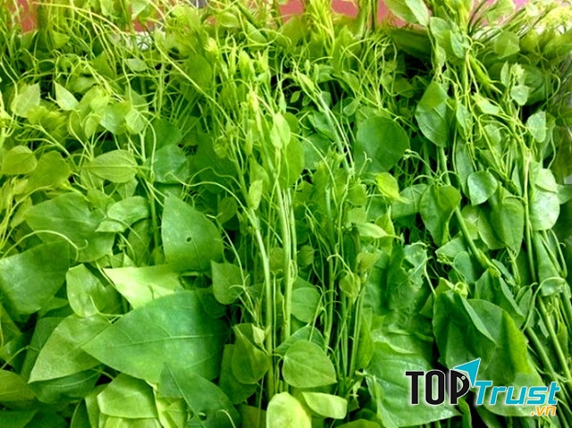 Rau dạ hiến
