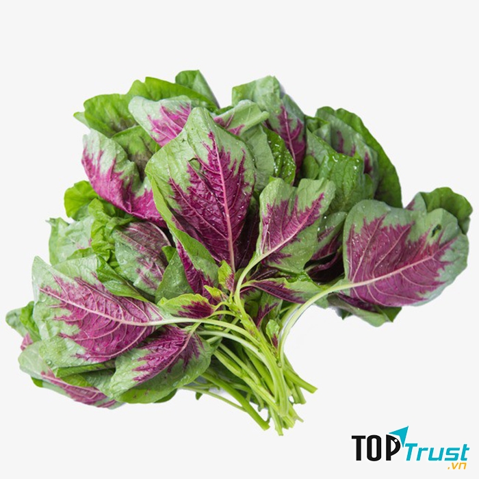 Ảnh minh họa - nguồn internet