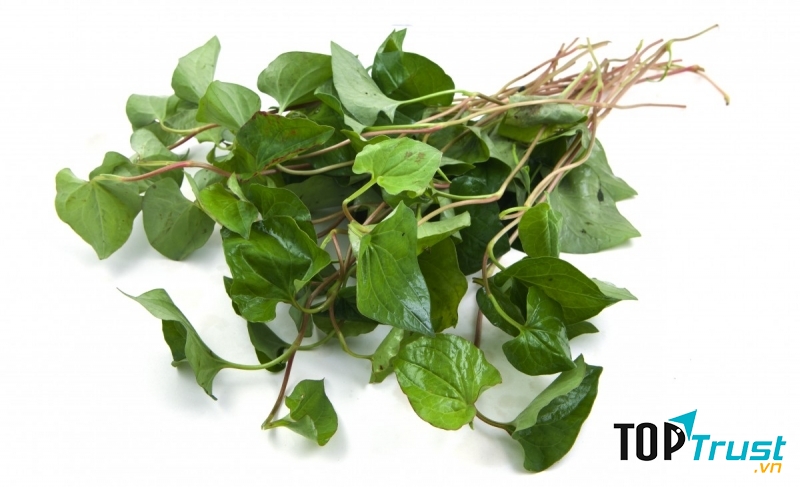 Rau diếp cá, bài thuốc dân gian