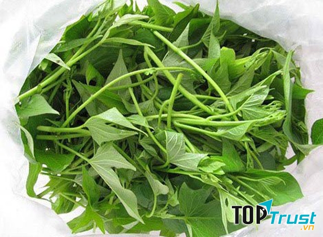 Ảnh minh họa - nguồn internet