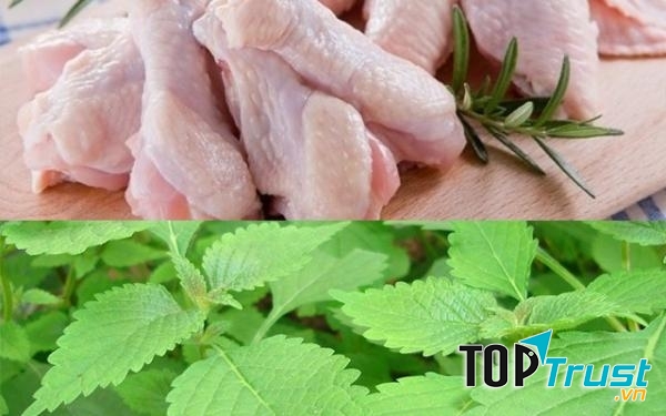 Rau kinh giới thực phẩm kiêng kỵ thịt gà
