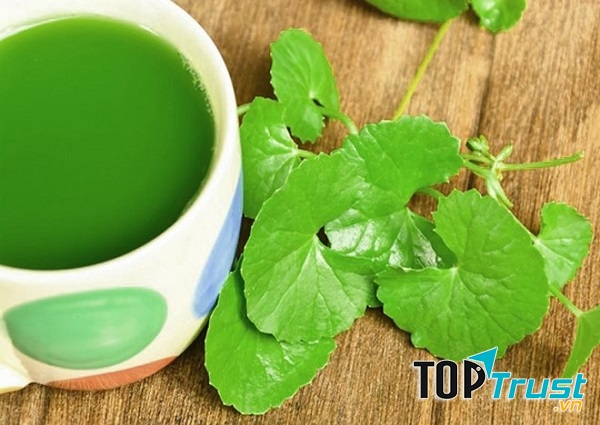 Rau má trị sẹo đặc biệt là sẹo lõm.