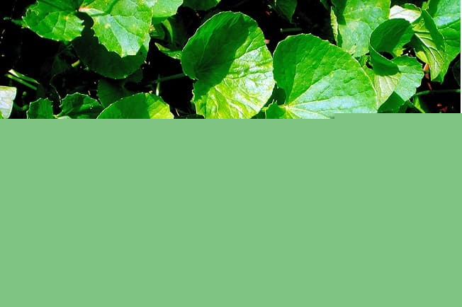 Ảnh minh họa - nguồn internet