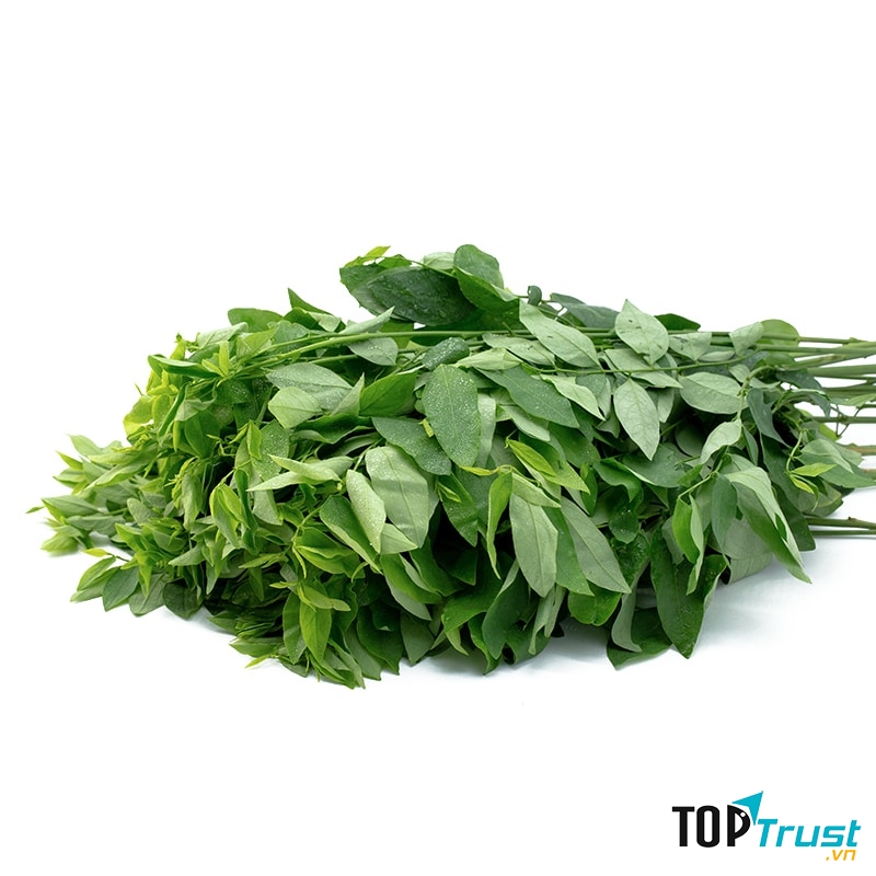 Rau ngót có nhiều công dụng cho sức khỏe