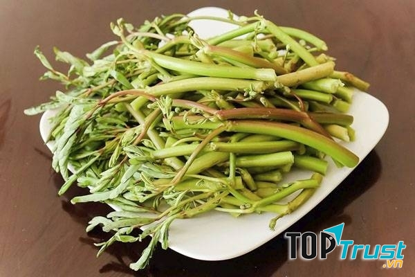 Rau nhút chữa mất ngủ