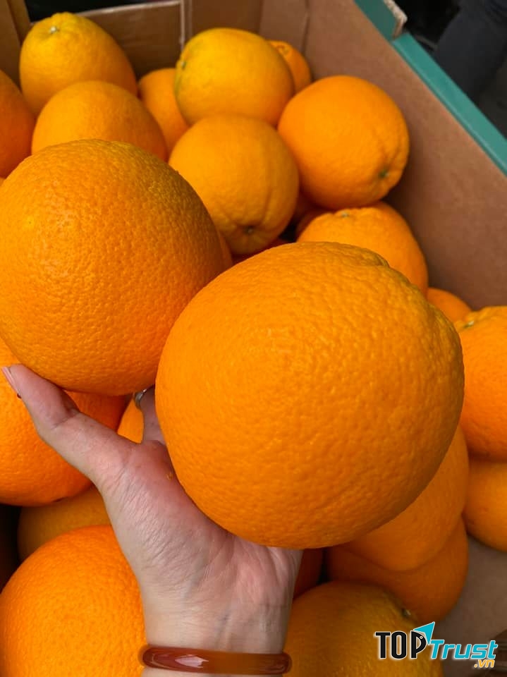 Rau Quả Bình Thuận/ Fruits And Greens Co.,