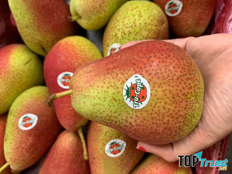 Rau Quả Bình Thuận/ Fruits And Greens Co.,