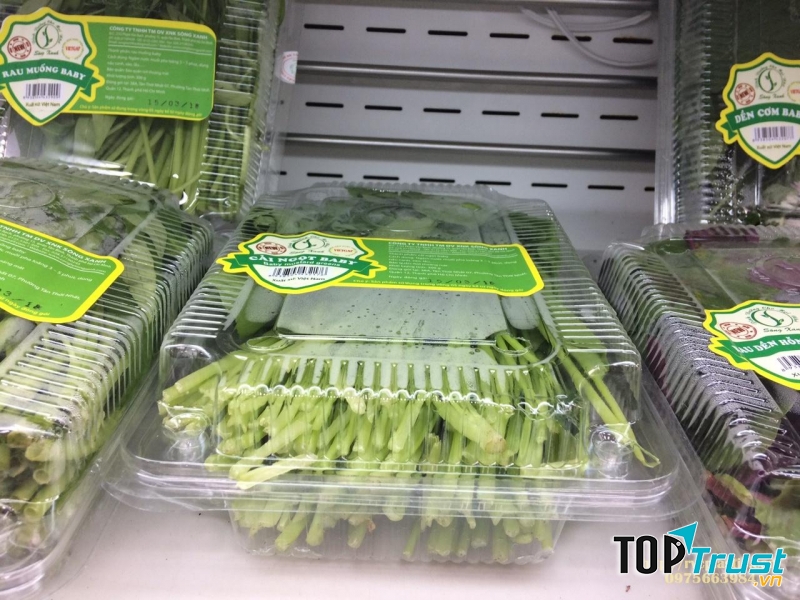 Rau quả đóng hộp