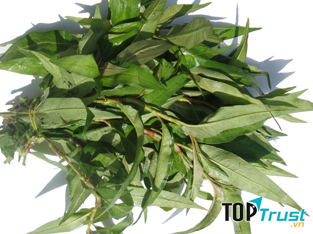 Mẹ bầu không nên ăn nhiều rau răm