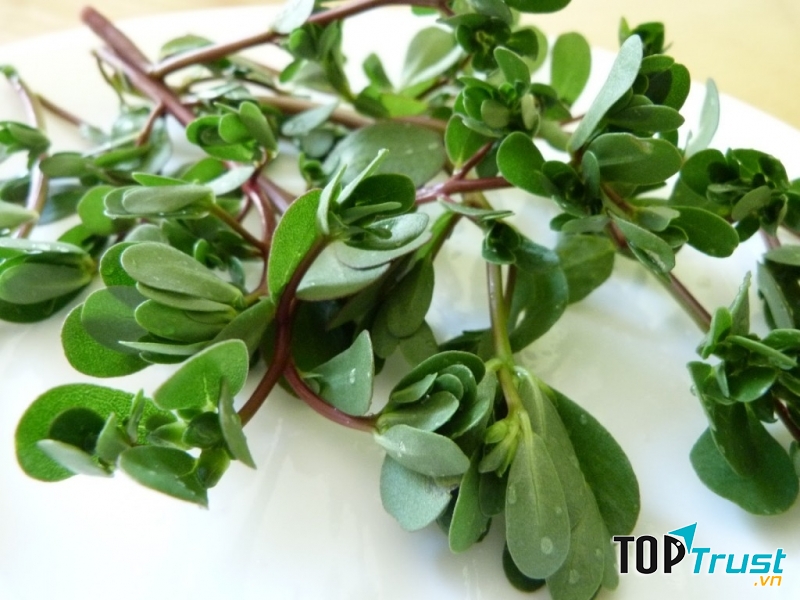 Phụ nữ mang thai nên hạn chế sử dụng rau sam